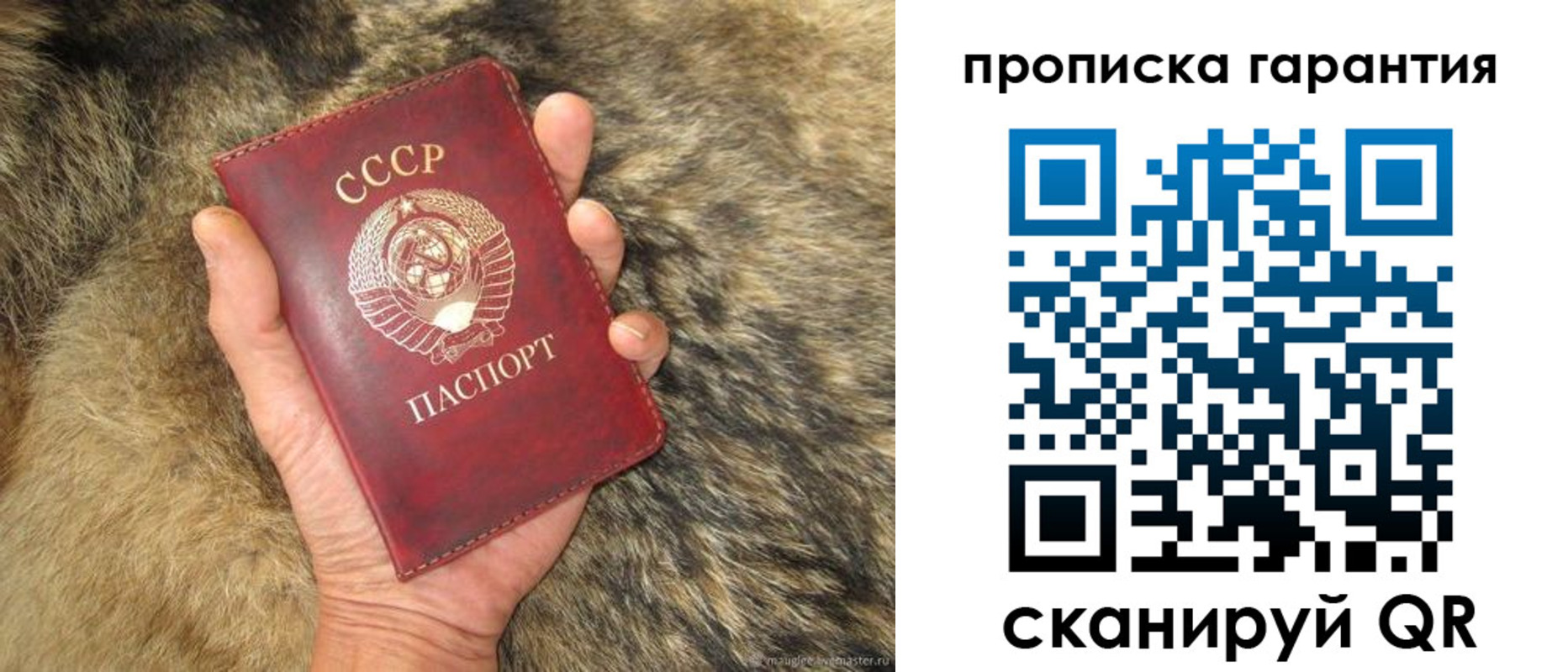 временная регистрация гарантия в Сорочинске